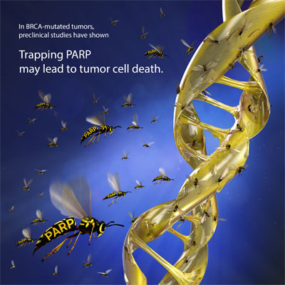 Parp | Illustration by LFC-RX a Bay Area Medical Production Studio